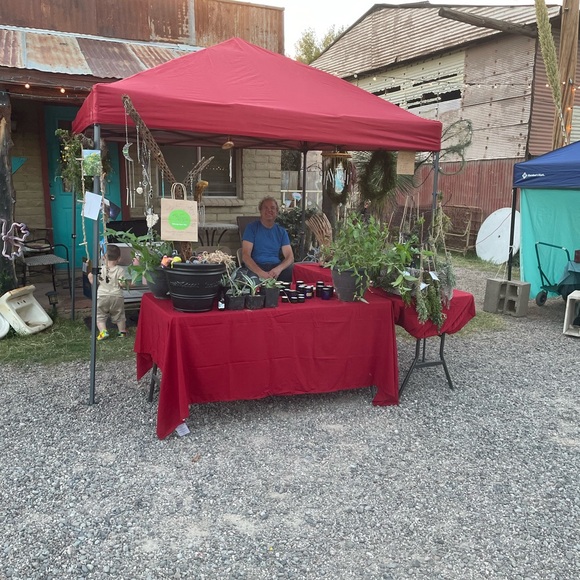 Meet your Posher, Christina - Picture 2 of 13